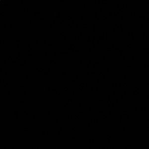 Meet your Posher, Linlee